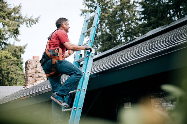 Best Gutter Installation and Repair  in New Madison, OH